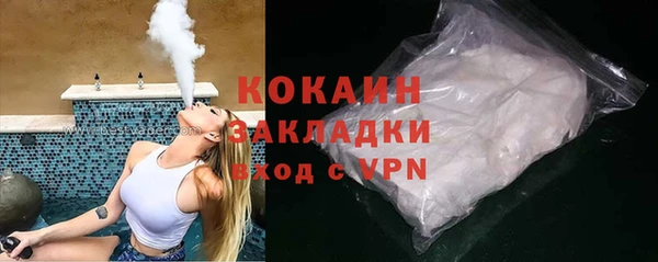 прущие грибы Нея