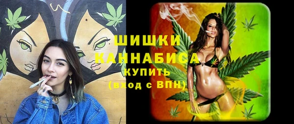 прущие грибы Нея