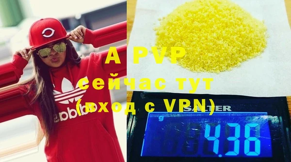 прущие грибы Нефтегорск