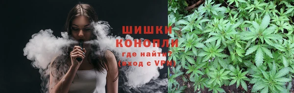 прущие грибы Нея