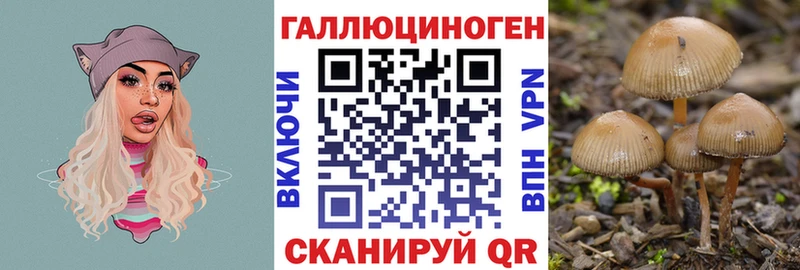 Псилоцибиновые грибы мухоморы  hydra зеркало  Богучар 